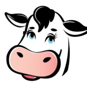 Meet your Posher, Lee ann